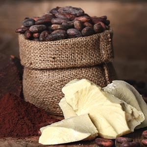 Cocoa Butter Image
